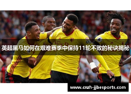 英超黑马如何在艰难赛季中保持11轮不败的秘诀揭秘